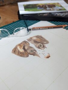 Michelle Hughes Sketch